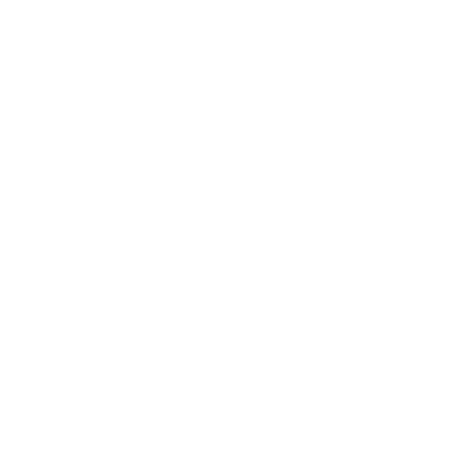 Beierlein Digital